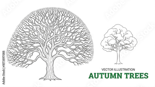 Autumn tree vector line art collection