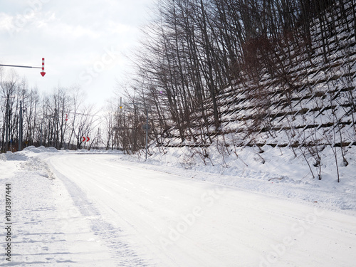 Wallpaper Mural 山中のカーブのある雪道 Torontodigital.ca