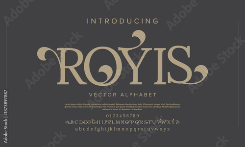 Elegant alphabet beauty logo font. Classic beautiful Modern luxury Serif Letter Minimal Fashion. Typography decoration logotype fonts, wedding, logos. vector illustration