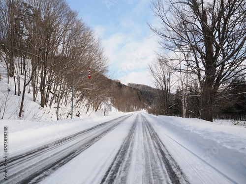 Wallpaper Mural 占冠村にある「不思議な泣く木」 Torontodigital.ca