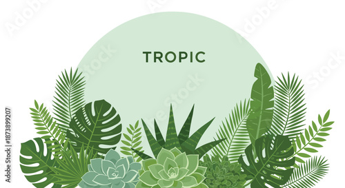 Background design with a collection of green tropical leaves, succulents, and jungle plants below a circular frame with the word "Tropic".
