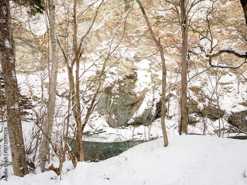 Wallpaper Mural 赤岩青巌峡の雪景色 Torontodigital.ca