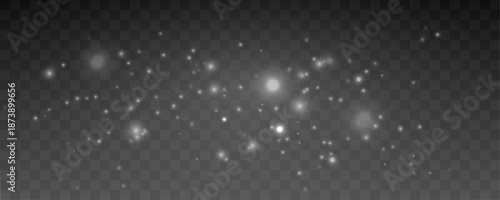 Light veil of white dust particles drifts softly, creating airy motion, subtle glow, and elegant texture. vector