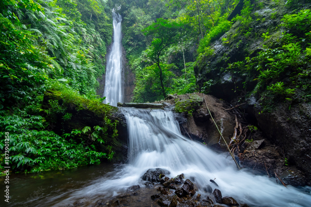 Naklejka premium Coban Canggu Waterfall Cascades Through Lush Greenery in Mojokerto, East Java