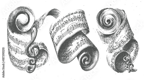 Three intricately detailed vintage musical scrolls with a treble clef elegantly intertwined in a monochromatic etched artistic composition