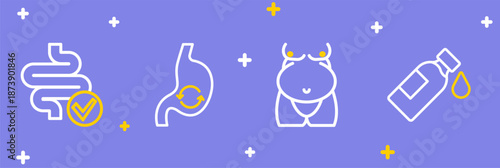 Set line Bottle of water, Obesity, Human stomach health and Intestines icon. Vector