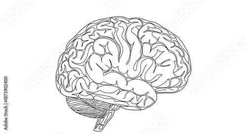 Simple black and white line art illustration of the human brain in a side view, showing the cerebrum and cerebellum for medical or educational use.