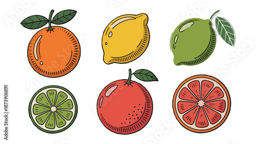 Vibrant Citrus Variety: A visually appealing arrangement showcases the diverse colors and forms of citrus fruits.