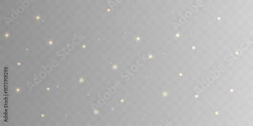 Light veil of golden dust drifts softly, adding layered abstract motion and warm luminous highlights. vector