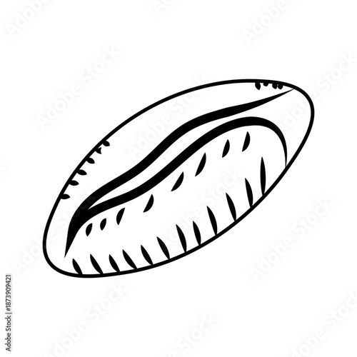 A simple, hand-drawn illustration of a coffee bean, showcasing its characteristic shape and texture
