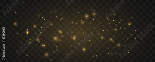 Light veil of golden dust floats softly, creating subtle motion, layered depth, and warm luminous accents. vector