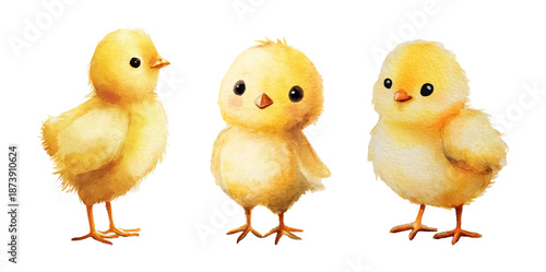 Watercolor set of cute chicks. Baby chicks with yellow coloring. Cute birds for spring and holiday designs. Farm and agricultural birds. Vector illustration.