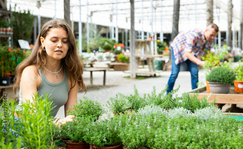 Foto Young female shopper choosing ornamental plants to decorate home courtyard at local garden center, looking with interest at potted fragrant thyme