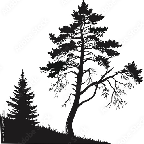 Wallpaper Mural Minimal Pine Tree Black Silhouette Nature Illustration Torontodigital.ca