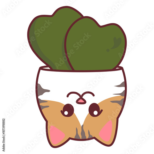 Cat face planter pot with heart shaped Hoya Kerrii house plant