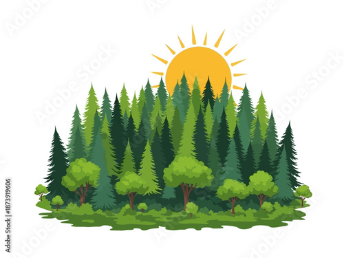 Vibrant forest scene with sunlight shining through the trees, a picturesque nature illustration