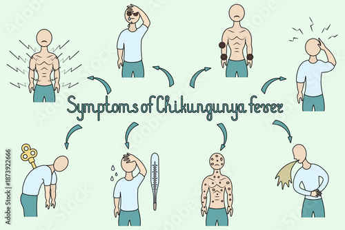 Chikungunya fever symptoms. Handwritten text. Color vector illustration. Muscle pain, conjunctivitis, joint pain, headache, nausea, vomiting, rash, fever, and fatigue. Isolated green background.