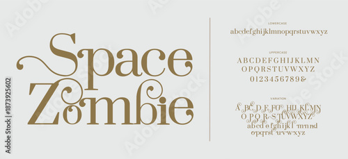 Elegant luxury alphabet font logo. Typography modern classic lettering serif italic fonts decorative wedding vintage retro logos. vector illustration