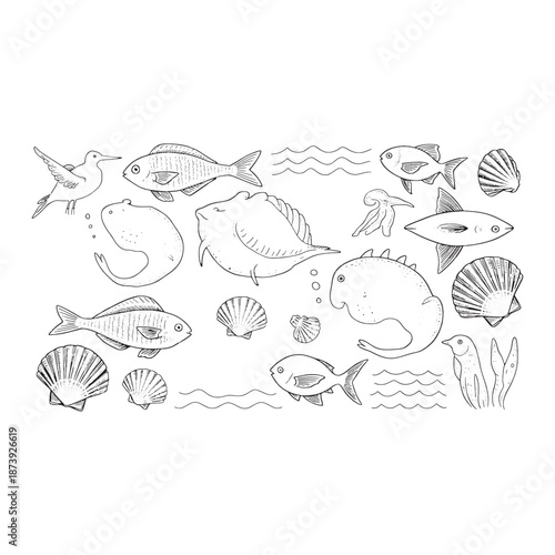 Black and white of various fish, shells, and birds in an underwater scene