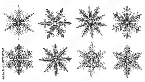 Collection of eight detailed black and white illustrations showcasing the incredible symmetrical hexagonal crystal structures found in various intricate natural snowflakes.