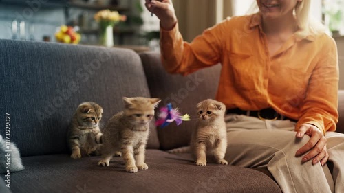 Wallpaper Mural Caring woman playing with adorable purebred kittens using feather toy at home Torontodigital.ca