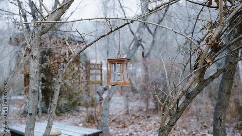 잣나무 가로수길에 아름다운 색감의 우산, 비와 눈이 오는 한국의 아름다운 가로수 길 풍경