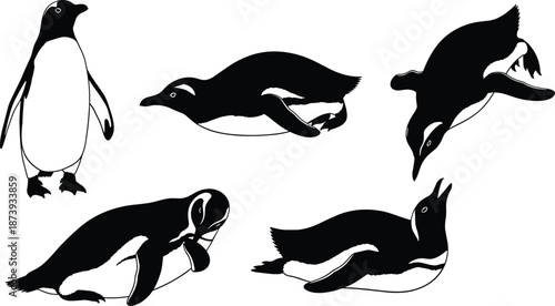 Black and white penguin silhouettes set, hand drawn aquatic bird illustrations, Antarctic wildlife icons, swimming, standing, and preening penguin vector graphics