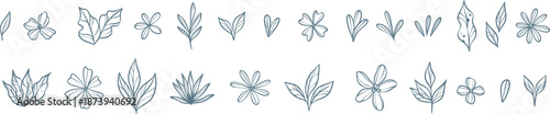 Tiny flowers and leaves ink vector line art modern plant illustration set