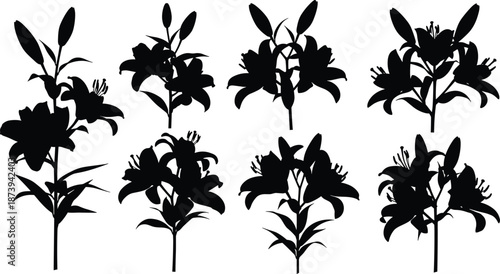 Black silhouette set featuring various lily flower stages including long stems with buds, full blossoms, elegant petals, and garden lilies