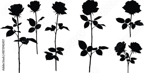 Black silhouette set featuring various long stem rose flowers with detailed leaves and buds for romantic gardening, wedding, and floral
