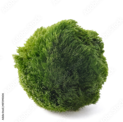Moss ball