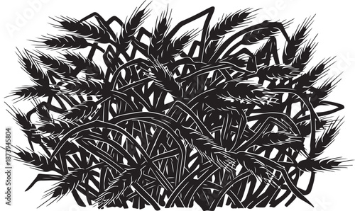 Black and white illustration of wheat on white background