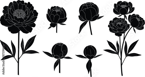 Black silhouette set featuring various peony flower stages including large full blossoms, detailed petals, emerging buds, and decorative garden blooms