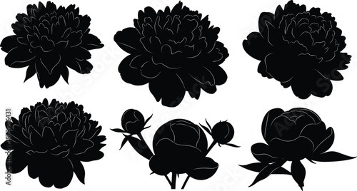 Black silhouette set featuring various peony flower stages including large lush blossoms, detailed petals, emerging buds, and decorative garden blooms