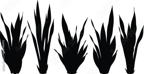 Black silhouette set featuring various sansevieria snake plant growth stages with long pointed leaves for indoor gardening and home decor