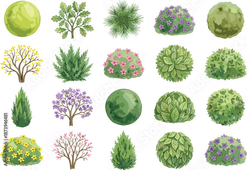 Collection of colorful trees, bushes, and shrubs illustration set, isolated garden and forest plants on white background, detailed botanical elements perfect for landscaping design, games