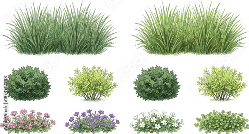 Hand drawn grass, bushes, and flowering plants illustration set, isolated garden vegetation collection on white background, natural landscaping elements perfect for outdoor design, game assets, maps