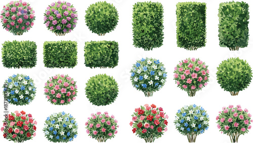 Large collection of green hedges and flowering bushes illustration set, isolated garden shrubs and decorative foliage on white background, perfect for landscaping design, game assets, maps, and nature