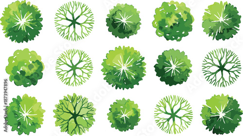 Top view green tree canopy illustration set with multiple lush foliage variations, isolated botanical aerial forest elements perfect for landscape design, map creation, game assets