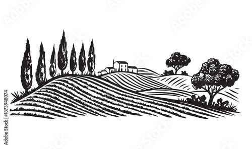 Vineyard landscape, Sketch. Hand drawn illustrations
