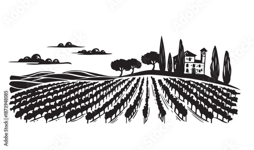 Vineyard landscape, hand drawn illustrations,  Sketch.	
