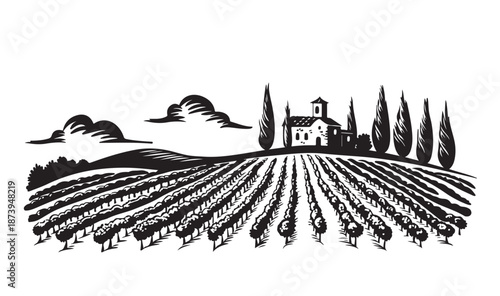 Vineyard landscape, Sketch. Hand drawn illustrations