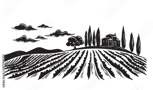Vineyard landscape, Sketch, hand drawn illustrations.	
