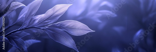 Elegant Abstract Floral Arrangement with Serene Botanical Elements and Soft Spring Color Palette