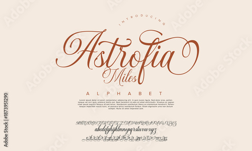 Hand drawn vector alphabet. Modern monoline signature script font. Elegant Signature Font. Best Alphabet Beautiful Calligraphy Signature Font