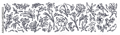 Doodle charcoal flowers set. Abstract floral botanical elements in drawn style. Ink, pencil, crayon and chalk rough line drawings, sketches. Flat vector illustrations isolated on white background