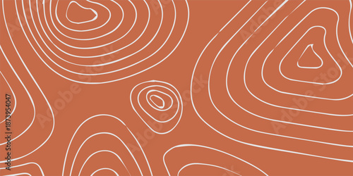 Konstfotografi Abstract organic contour lines pattern on earthy terracotta background