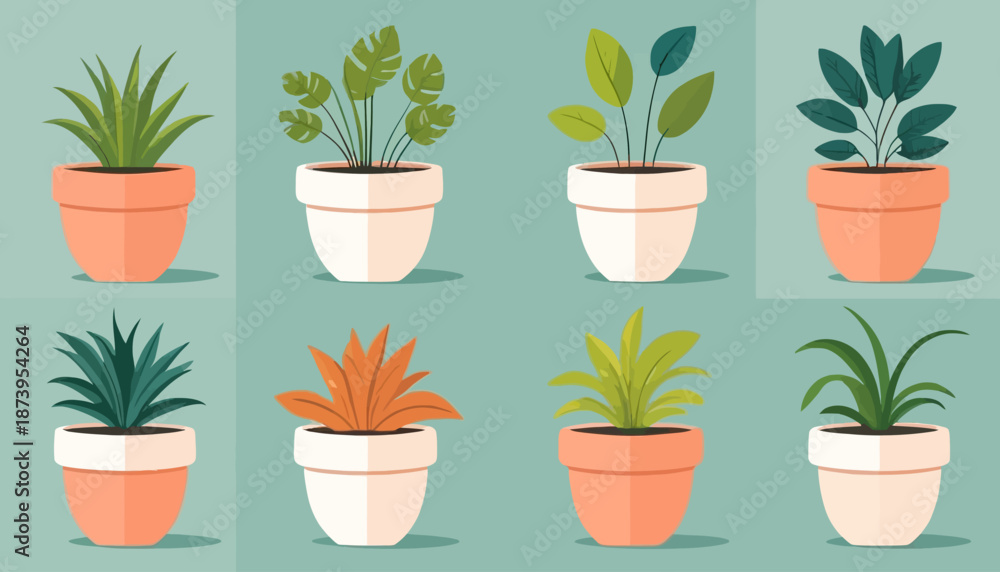 Fototapeta premium vector of plant on the pot