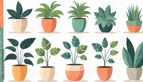 vector of plant on the pot