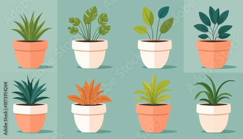 vector of plant on the pot